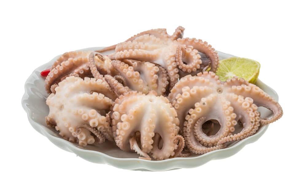 boiled octopus