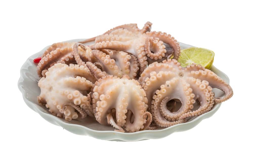 can-you-eat-octopus-while-pregnant-cephalopods-explained-birthing