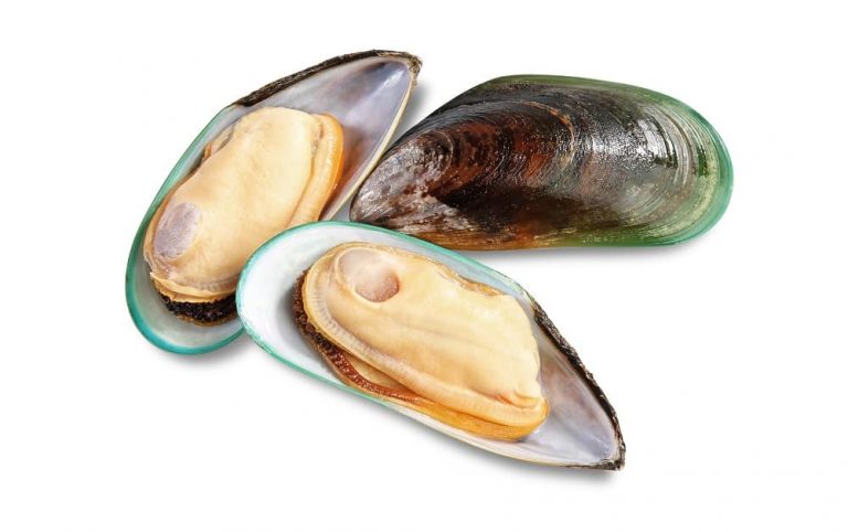 can-you-eat-mussels-while-pregnant-shellfish-explained-birthing-for-life