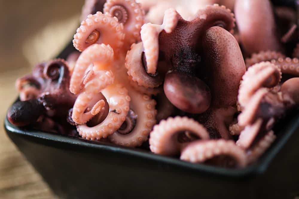 Can You Eat Octopus While Pregnant? Cephalopods Explained - Birthing ...