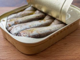 sardines safe during pregnancy
