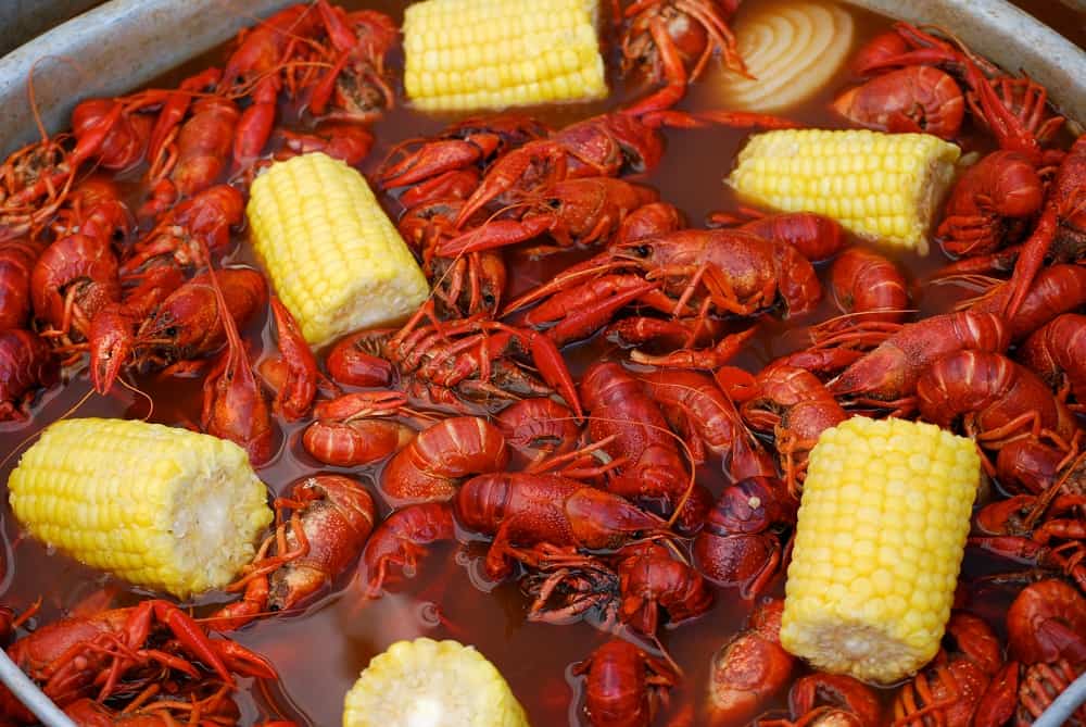 Can You Eat Crawfish While Pregnant? Seafood Explained Birthing For Life
