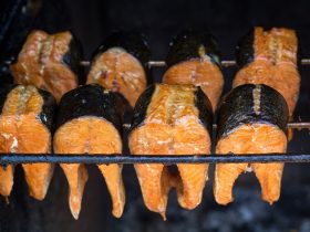 is smoked salmon safe during pregnancy