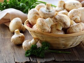 can you eat mushrooms while pregnant