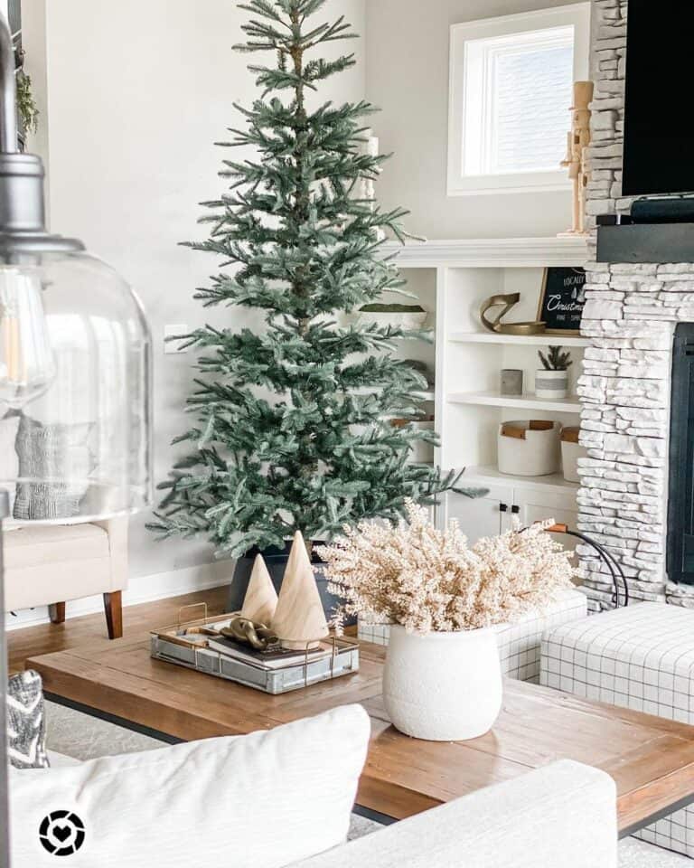 Minimalist Christmas Tree in Black Tree Collar