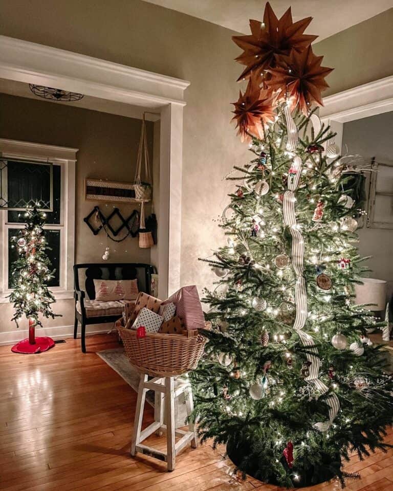 Christmas Tree with Black Tree Collar