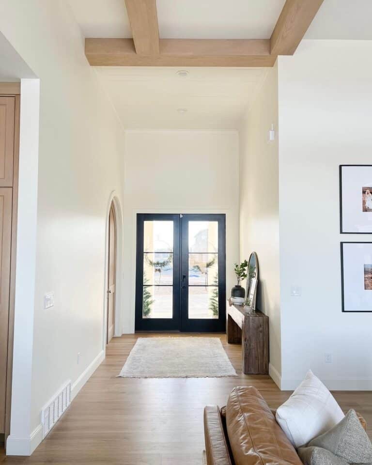 Modern Farmhouse Front Doors in Neutral Entryway