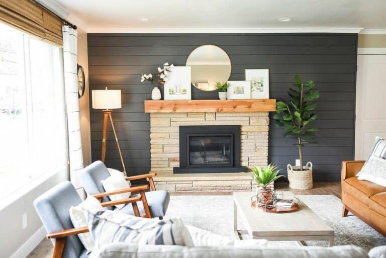 Horizontal Shiplap Paneling Accent Wall