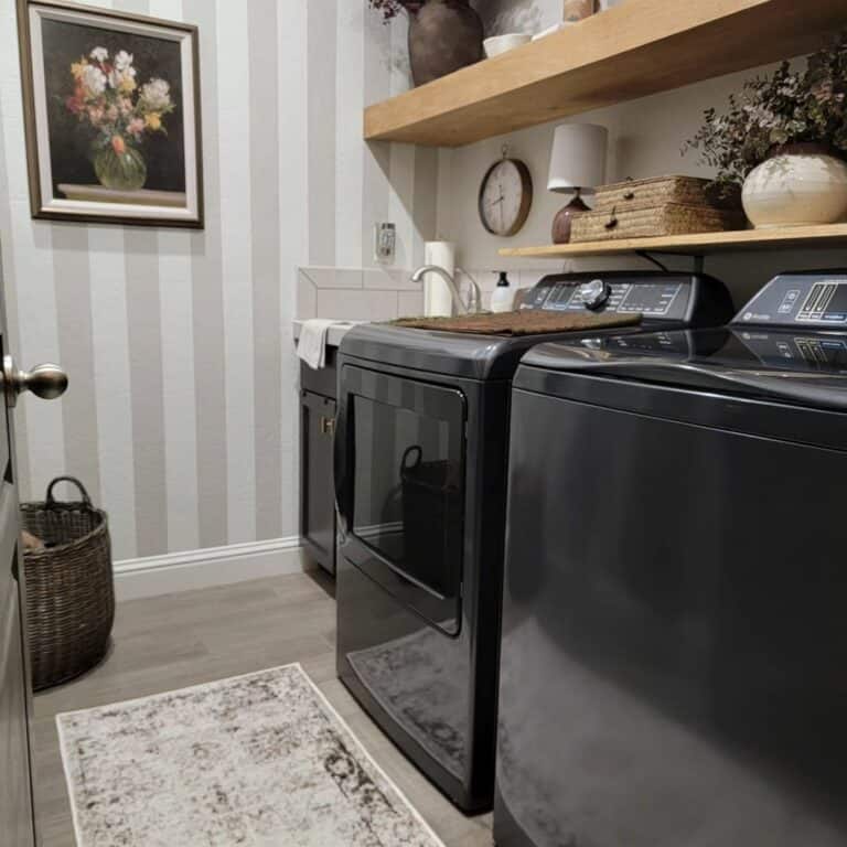 Laundry Appliances in Dark Tones