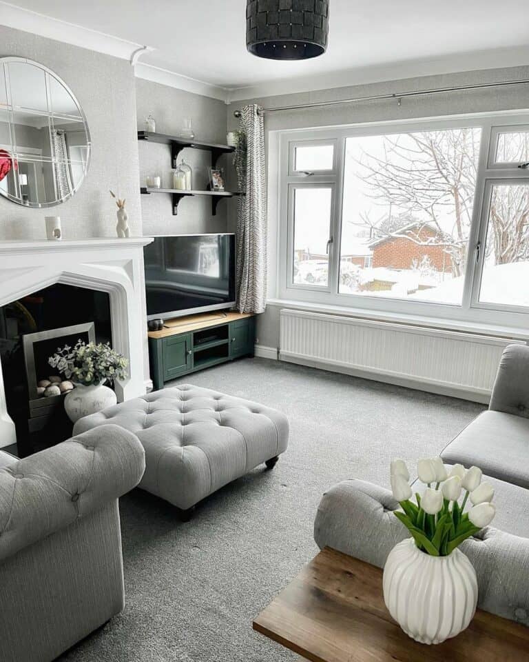 Mature Living Room Style Includes Grey Carpet