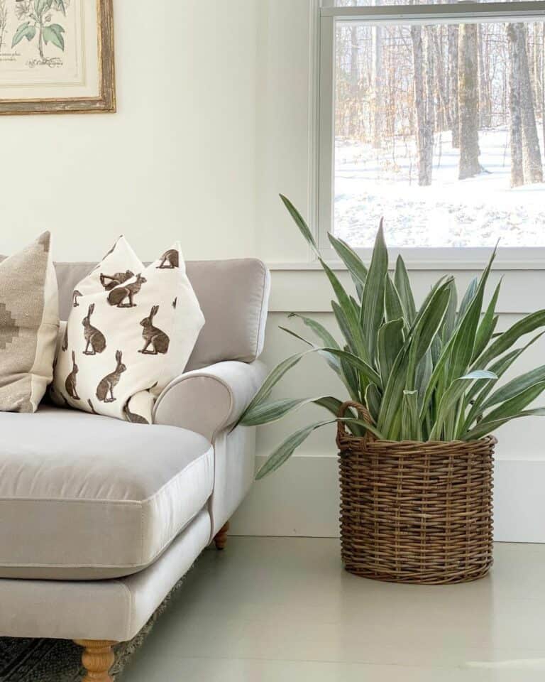 Glossy Grey Floor Topped With a Potted Plant