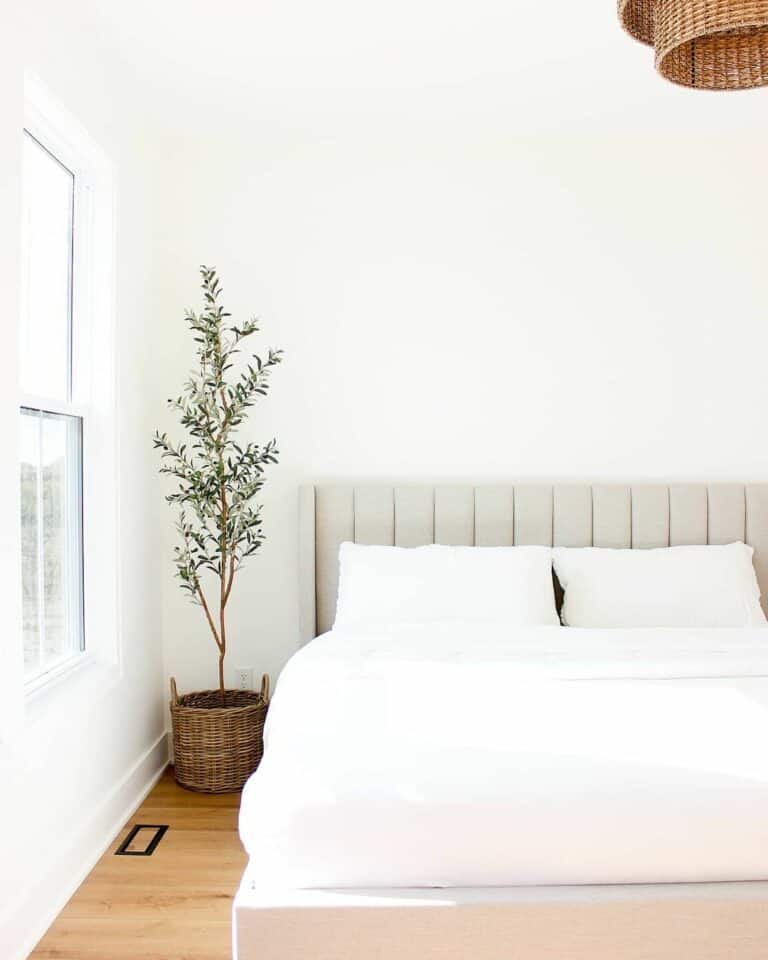 Minimalist Décor for a Relaxing Environment