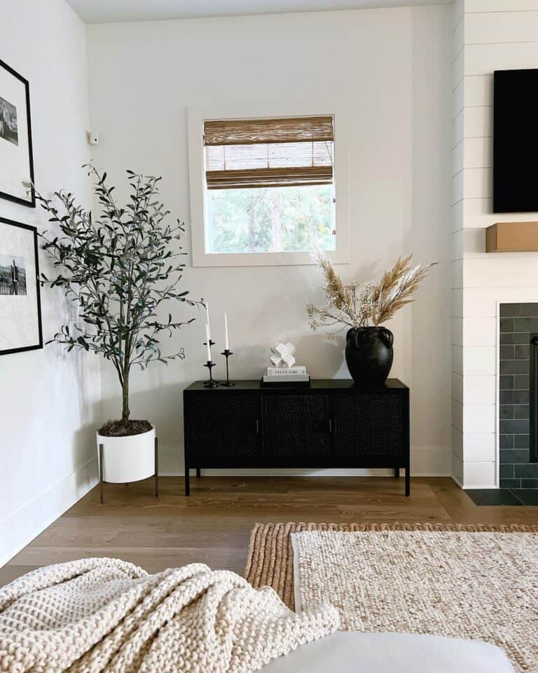 Window with Bamboo Sun Shades