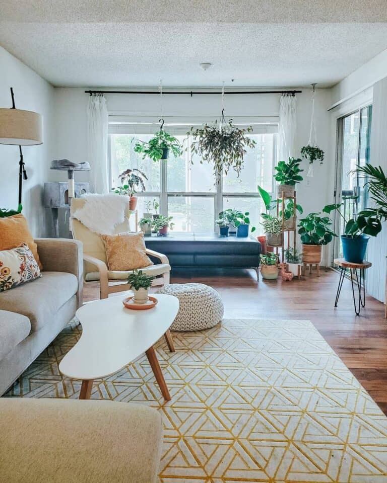 Lush Green Plants for a Lively Touch