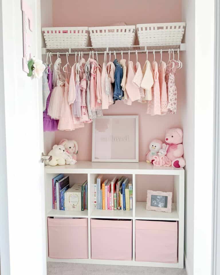 Pastel Pink Tones for Closet With 6-Cube Shelving