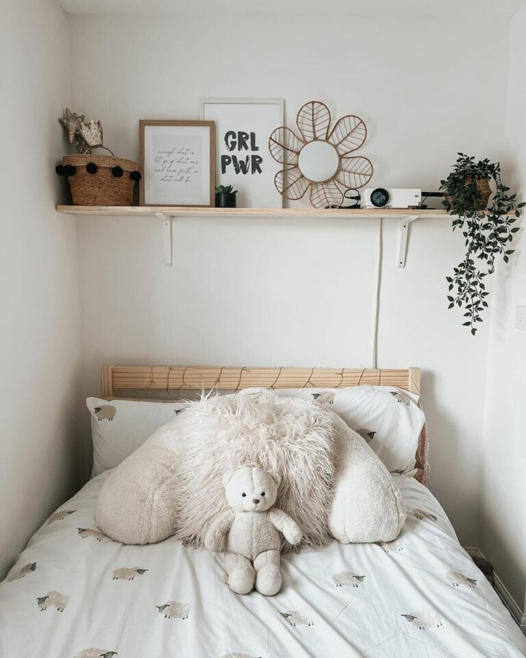 Wall-mounted Shelf Displays Accessories