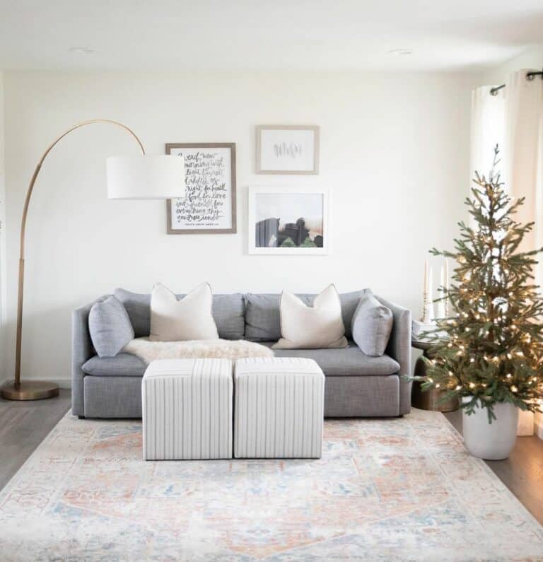 Relaxing Living Room Features White and Gray