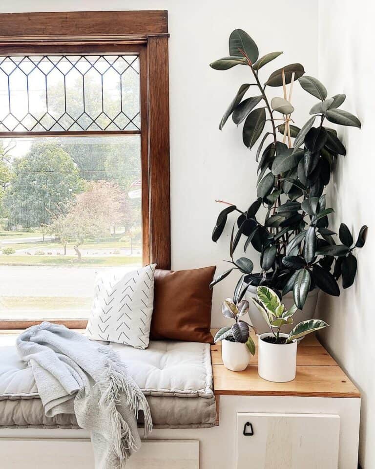 Vintage Prairie-style Windows