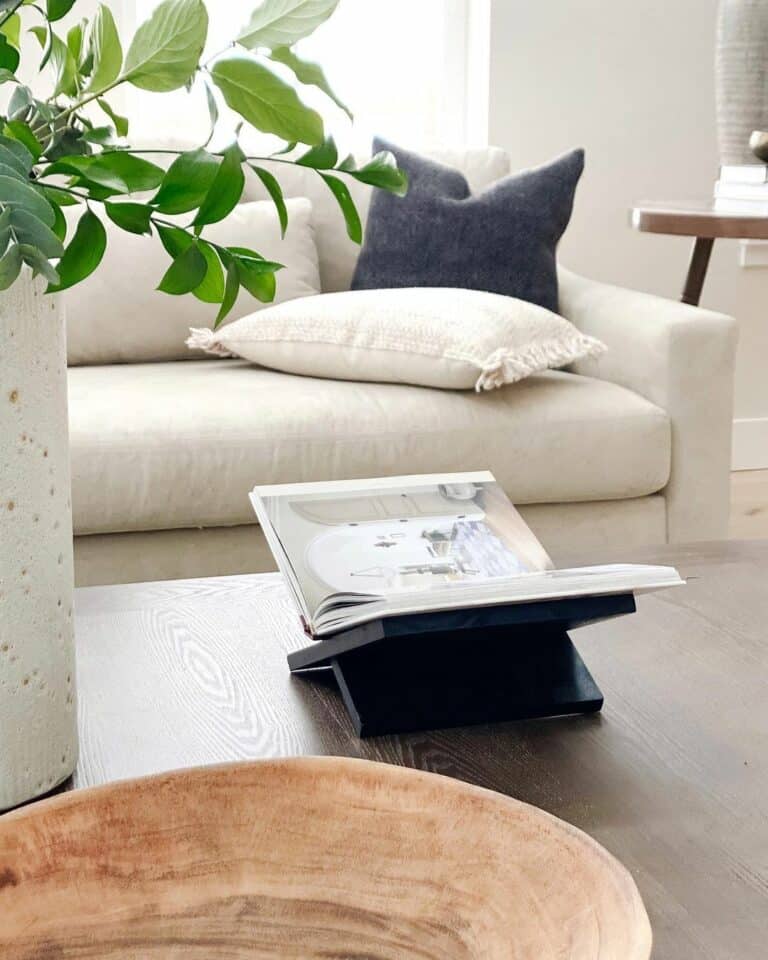Modern Couch and Living Room Table