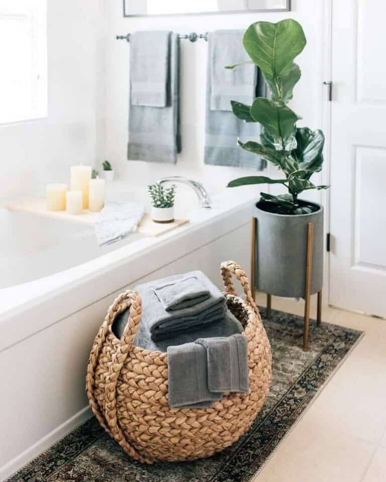 Greenery That Livens Up a Space