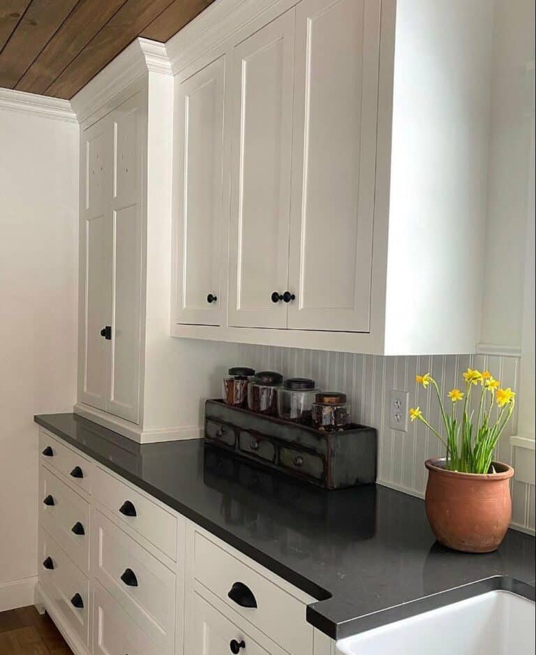 Refurbished Storage Unit and Spring Daffodils
