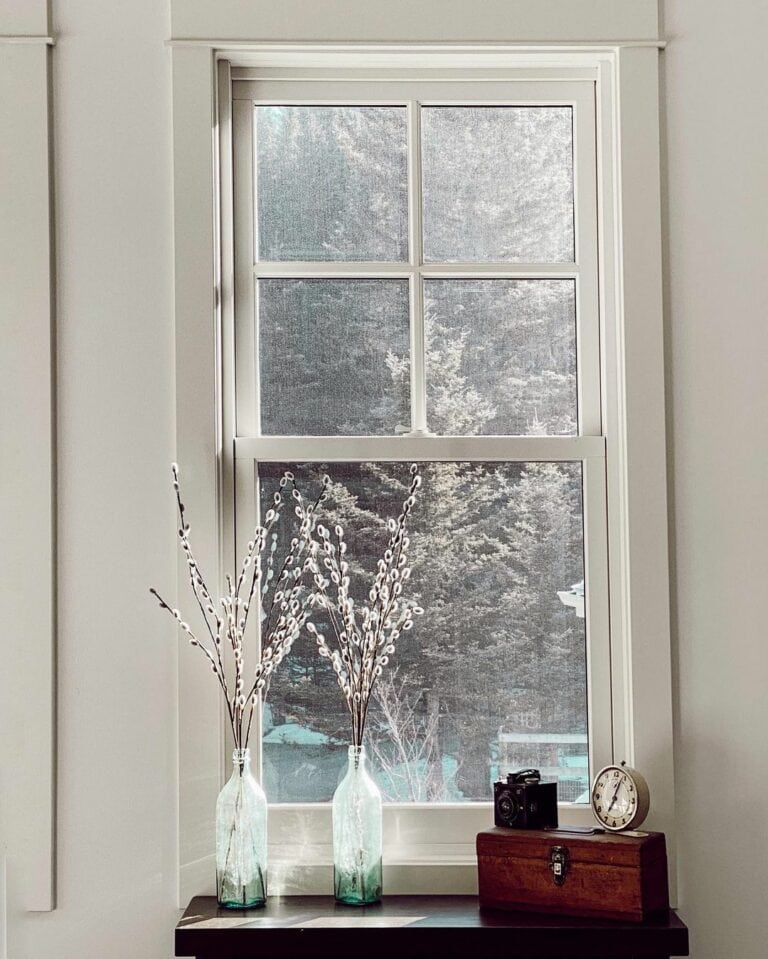 Vintage Items Soak in Sunlight