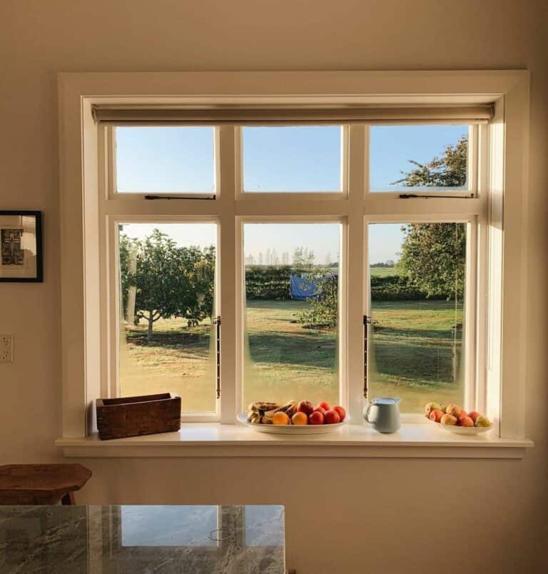 Divided Window Welcomes Autumn Sunlight