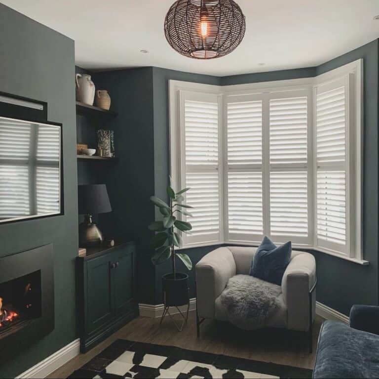 Black Walls and Décor in Living Room