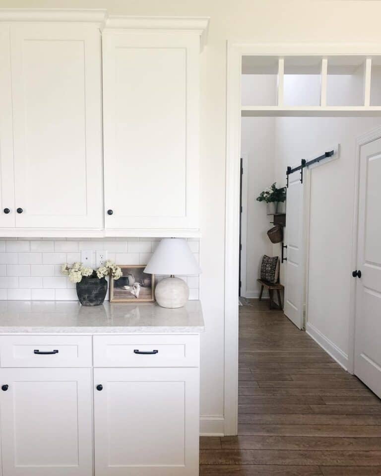 Black and White Kitchen with Decor