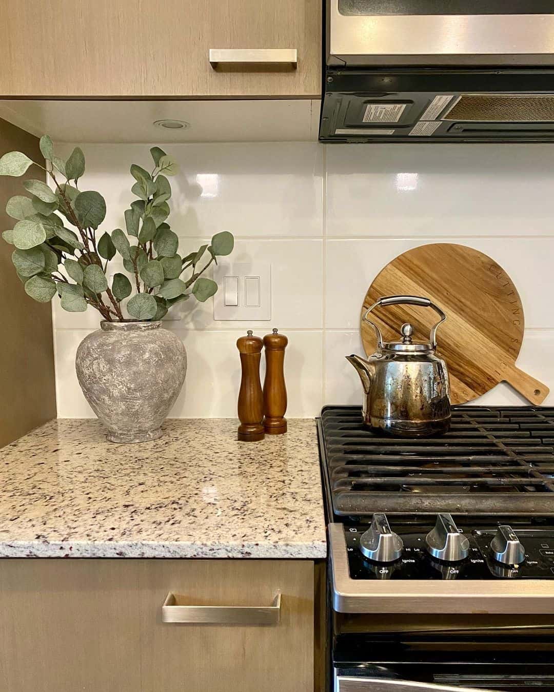 Contemporary Cabinetry and Handles