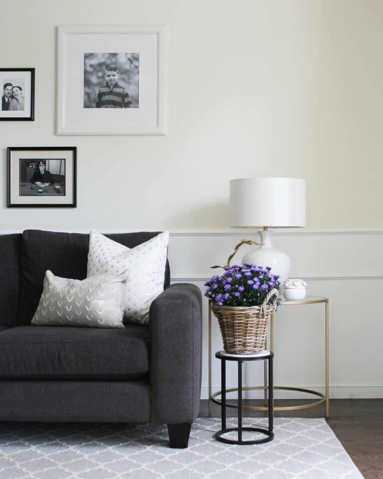Neutral Living Room With a Geometric Area Rug