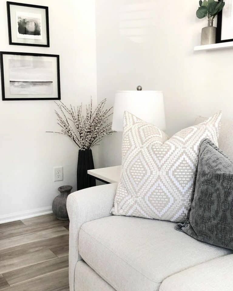 Modern White Living Room With Black Accents