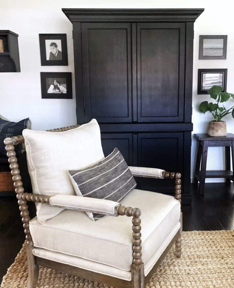 Neutral Living Room With Black Flooring