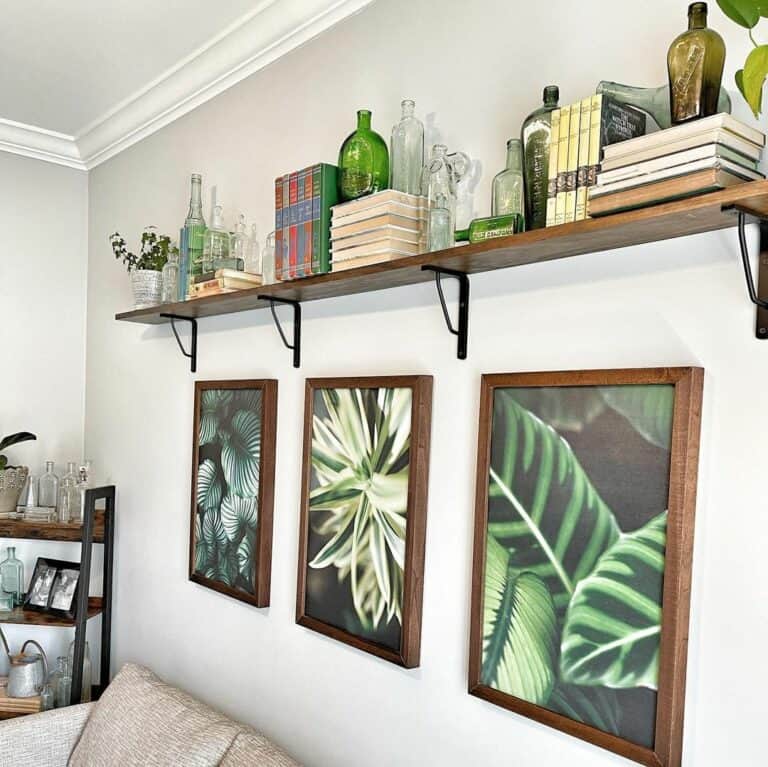Plant Room With Mounted Shelf