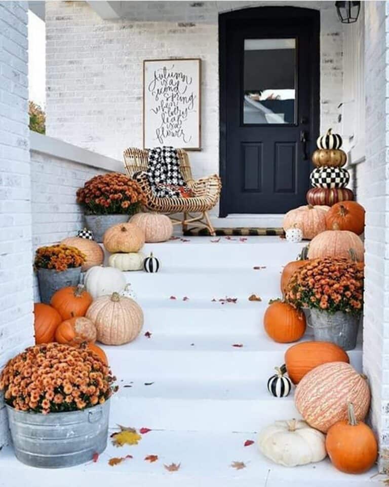 Modern Concrete Front Steps With Pumpkins