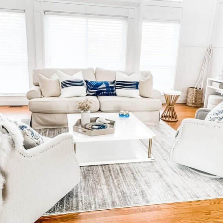 Neutral Front Room Ideas With Large Ivory and Gray Area Rug