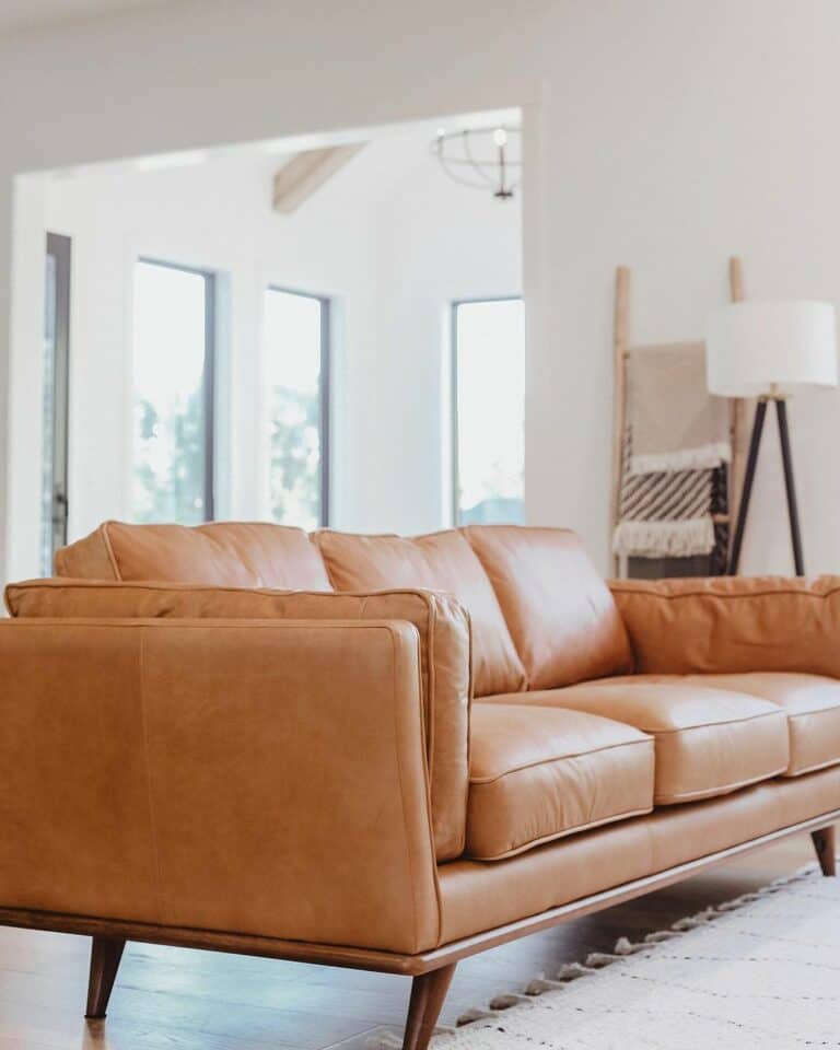 Minimalist Living Room With Tan Leather Couch