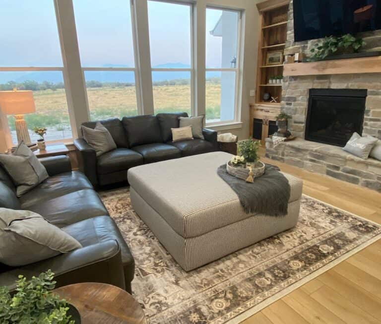 Bright Living Room Idea With Black Leather Sofas