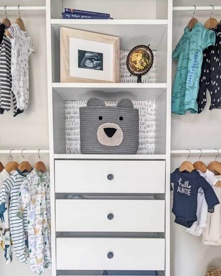 Closet Nursery Storage