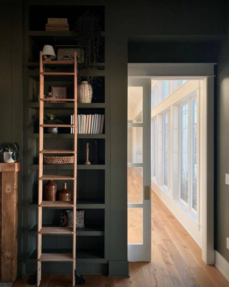 Moody Green Library With Wooden Ladder