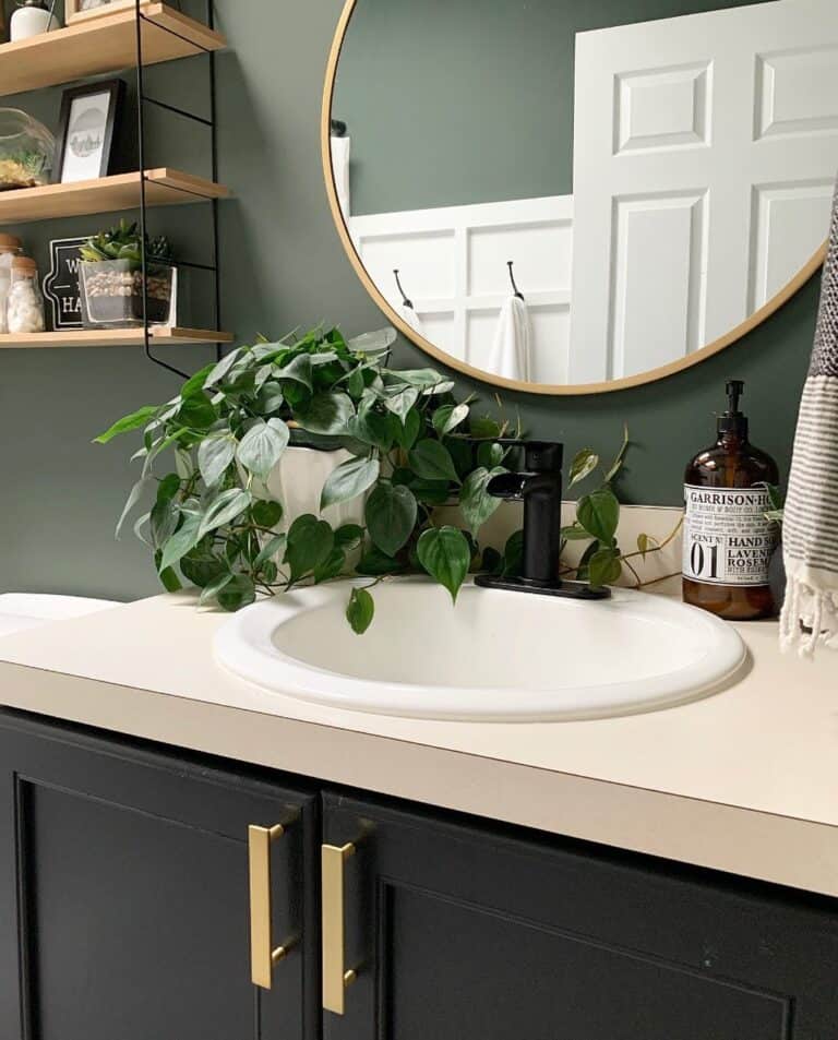 Deep Green Bathroom Walls with Large Brass Handles