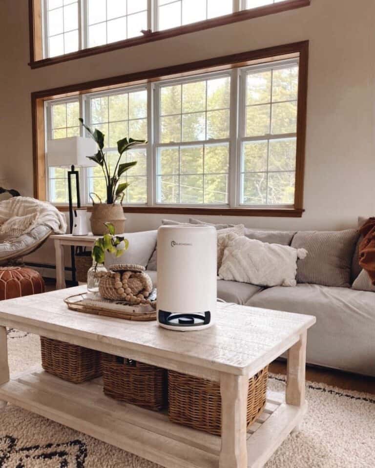 Small and Cute Living Room With Large Windows