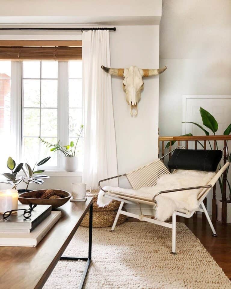 Skull of a Steer Above a Rattan Pouf