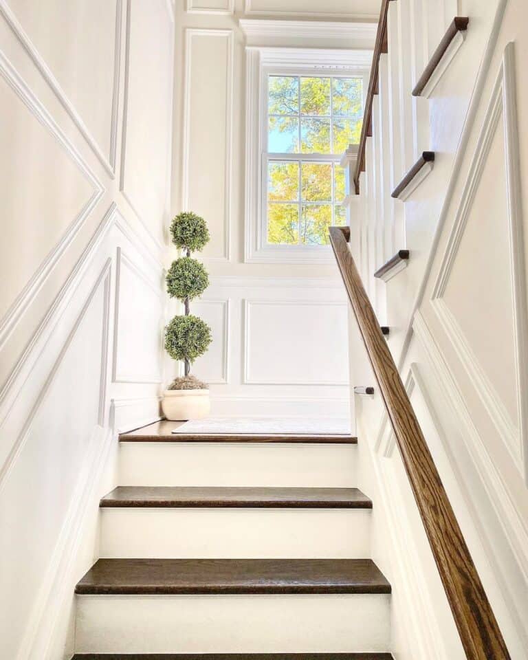 Topiary Plant Beside Wainscoting Wall