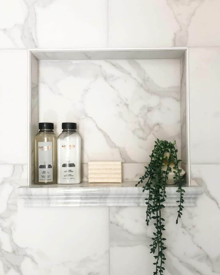Décor Ideas for Shower Niche