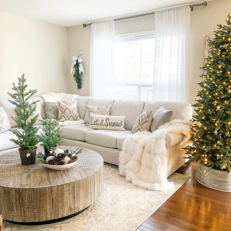 Living Room Coffee Table Centerpiece Bowl