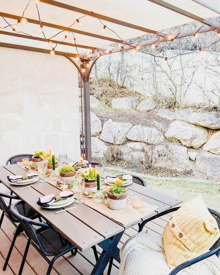 Outdoor String Lights and Yellow Flowers