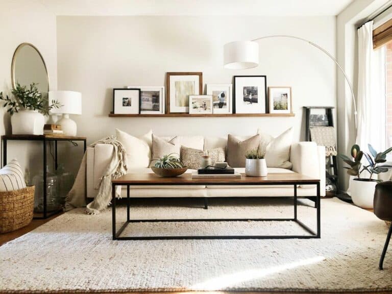 Modern Neutral Living Room Photo Décor