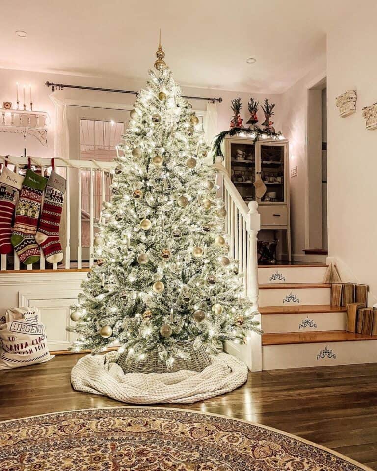 Beige Living Space with Giant Tree