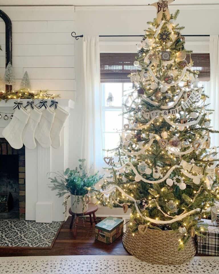 Black and White Presents and a Rattan Tree Collar